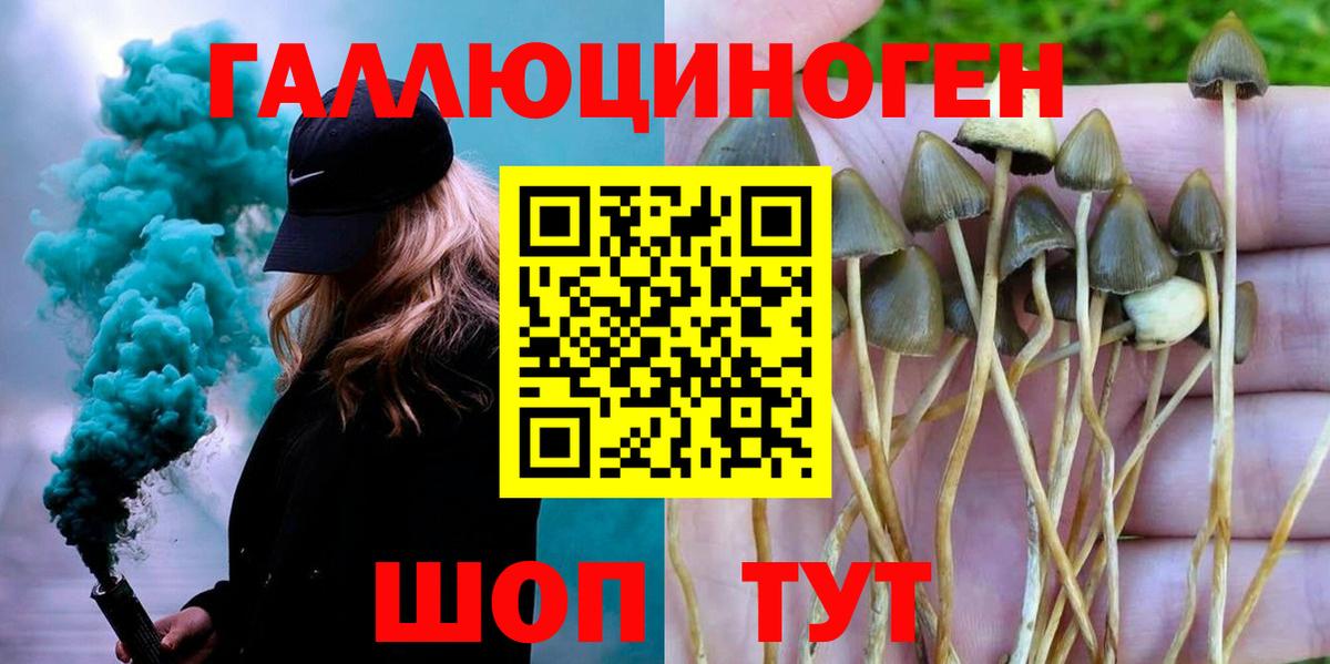 Новошахтинск  Галлюциногенные грибы прущие грибы  Вход с VPN 