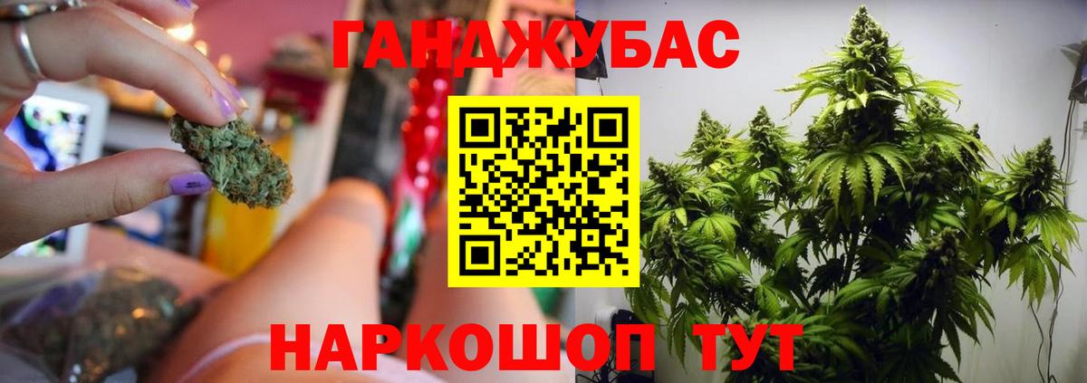 Конопля тримм  Вход с VPN  Новошахтинск  Марихуана планчик  Бошки марихуана конопля 